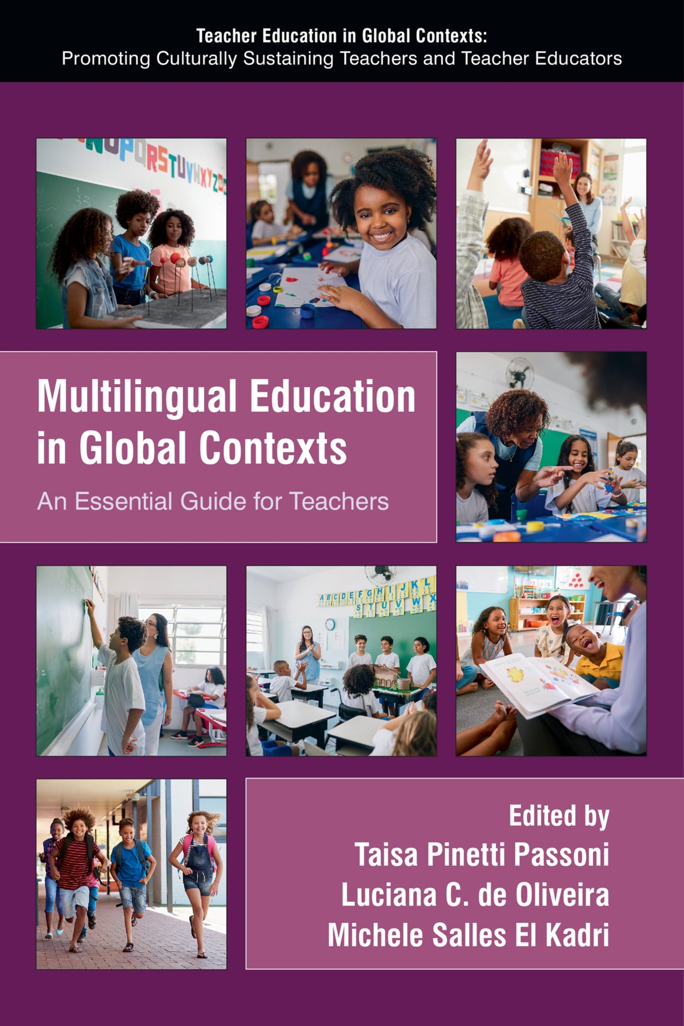 Cover image for Multilingual Education in Global Contexts ISBN 9781807915933